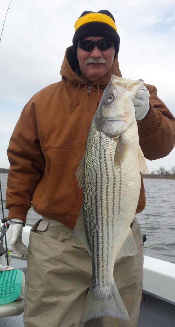 Lake Texoma Mid-Winter Fishing Report!!