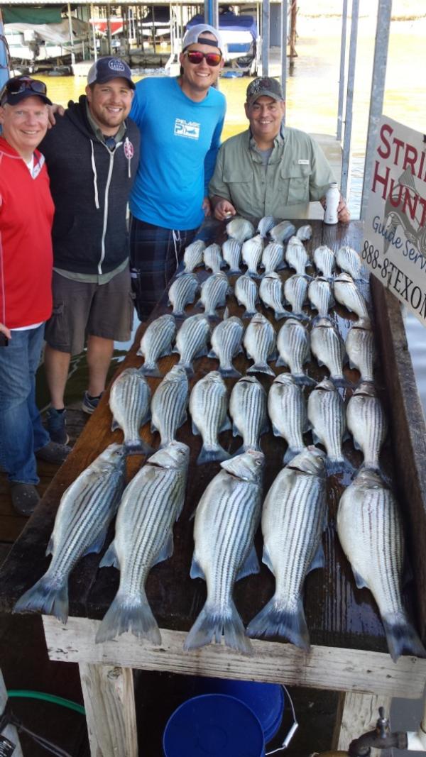 Lake Texoma Spring 2017 has Sprung!