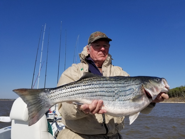 Spring Fishing on Lake Texoma