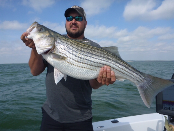 Trolling Lures for Striped Bass Fishing