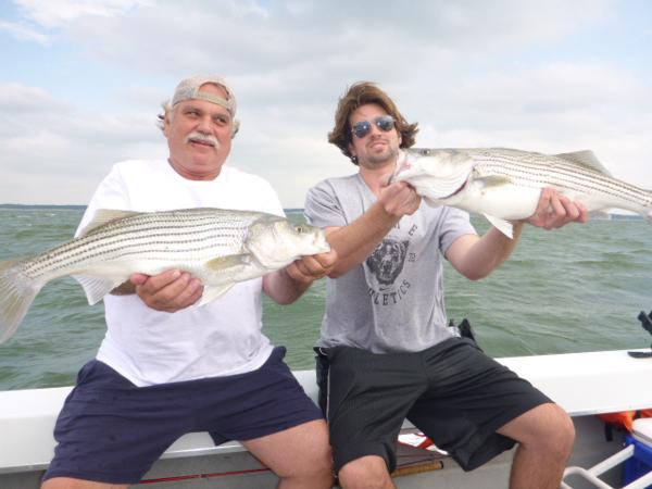 The fish are coming back!!