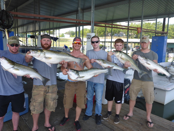 Lake Texoma Striper Hunter Guide Service