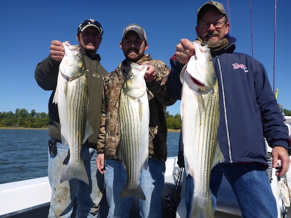 Artificial Lure Casting Only!